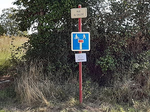 20200905_112115.jpg