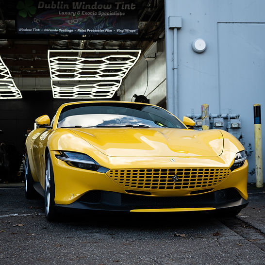 DSC03869_optimized_5000_edited.jpg
