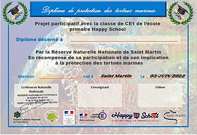 BAC tortues SXM.png