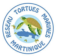 r%C3%A9seau%20tortue%20marine%20mque.jpg