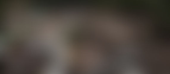 [Today’s Prayer] Flash Flood in Northern India’s Kashmir Mountains… 56 Dead, 80 Missing