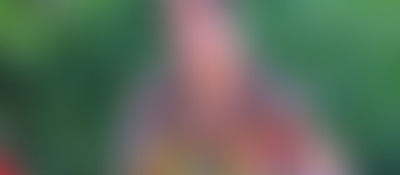 [Field Story] Uzbekistan, Strong and Courageous with God