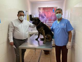 La Unión: habilitan Centro Veterinario Municipal para atención gratuita de mascotas
