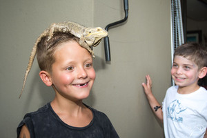 AA lizard on head.jpeg