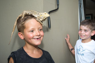 AA lizard on head.jpeg