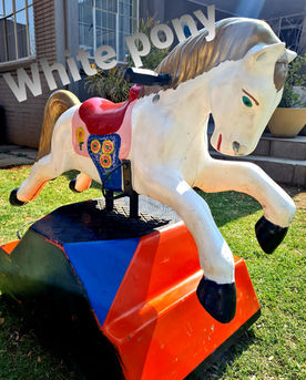 White pony.jpeg