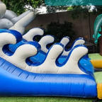 Dolphins Slide