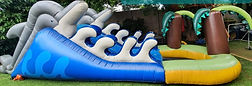 dolphins slide 1.jpeg