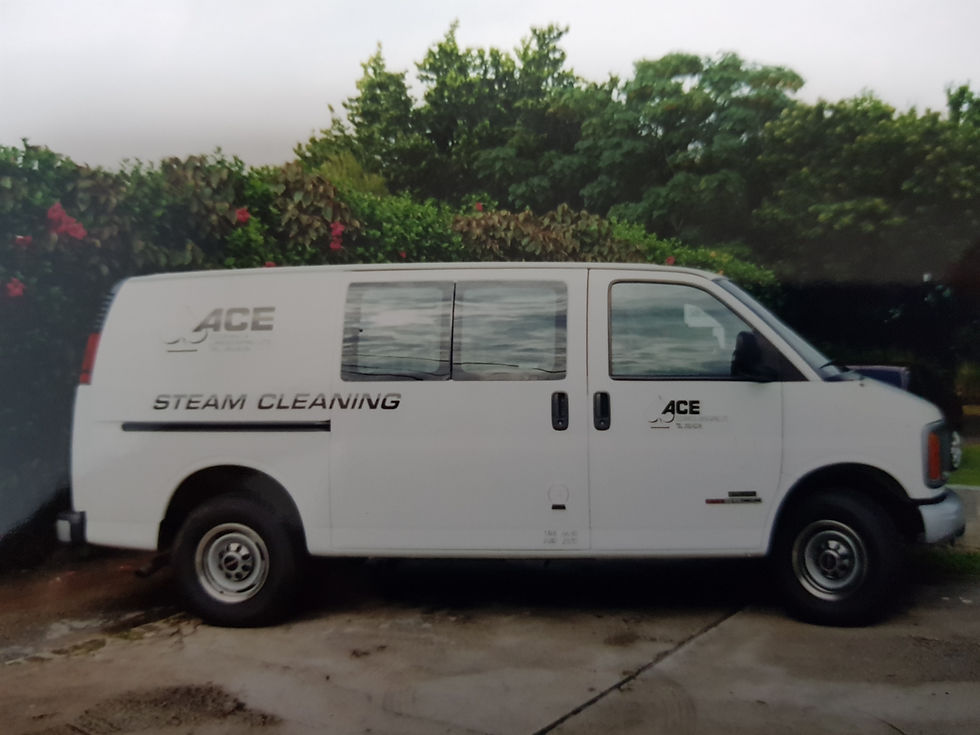 Steam Cleaning Van