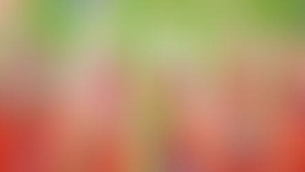 Florida Dominates Tigers in Softball Opener For Series at Baton Rouge