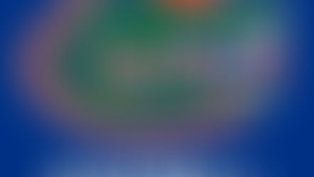 Florida Softball adds Transfer Pitcher to 2025 Season