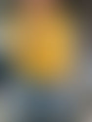 This mustard color lightweight sweater with cute ruffle sleeves just screams fall!!! 🍁🍂