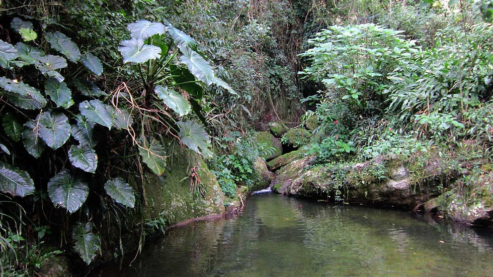 lago com mata virgem na serra do estado do rio de janeiro espaço para terapia, encontro, retiro para grupos pequenos