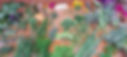 Imagem do WhatsApp de 2025-09-26 à(s) 16.40.48_0bcde312.jpg