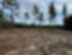 212843-land-3-o.jpg