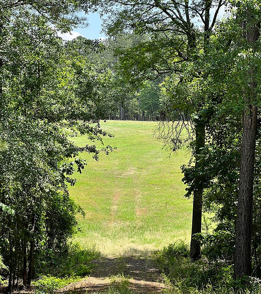 218354-land-o.jpg