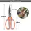 Thumbnail: Garden Scissor Imported