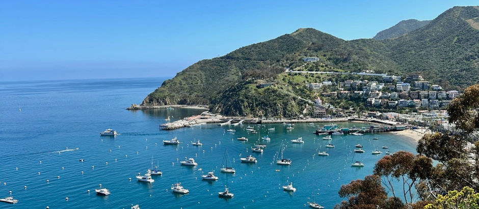 Rolling with the Waves