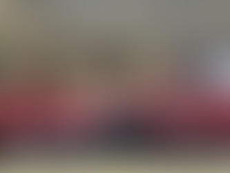 Mongolian National Coaches...