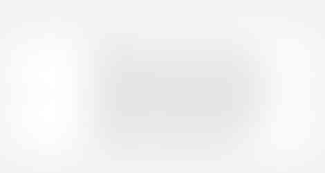 Reactive dog friendly guest review