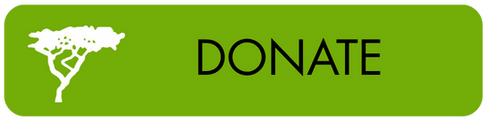 Button to click to donate to the Tree Project