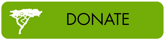 Button to click to donate to the Tree Project