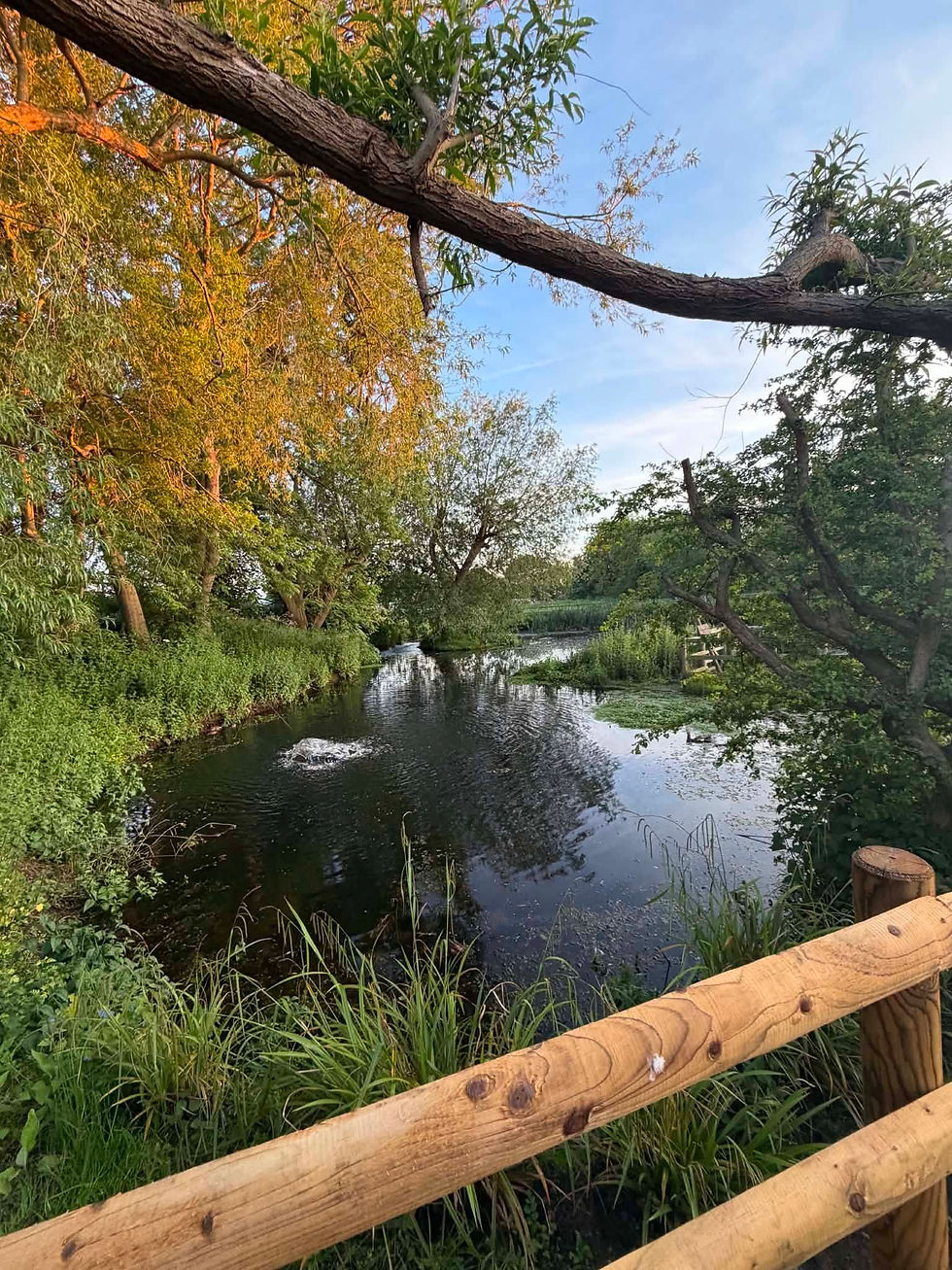 A view of a river surrounded by trees, with a fence in the foreground on a sunny summers day.