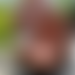 Front angle view of a pair of Merry People wellies with a pizza oven at The Welsh Farm Glamping in the background.