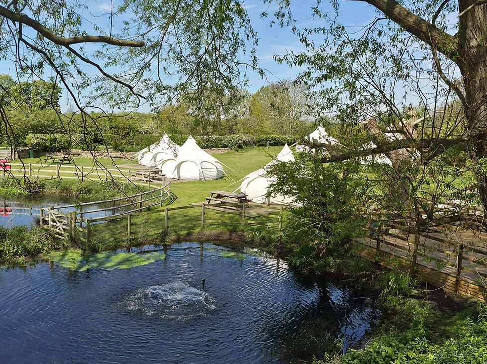A lake with a fountain and beautiful greenery around it with the belle tents just behind with picnic benches in the summer sunshine.