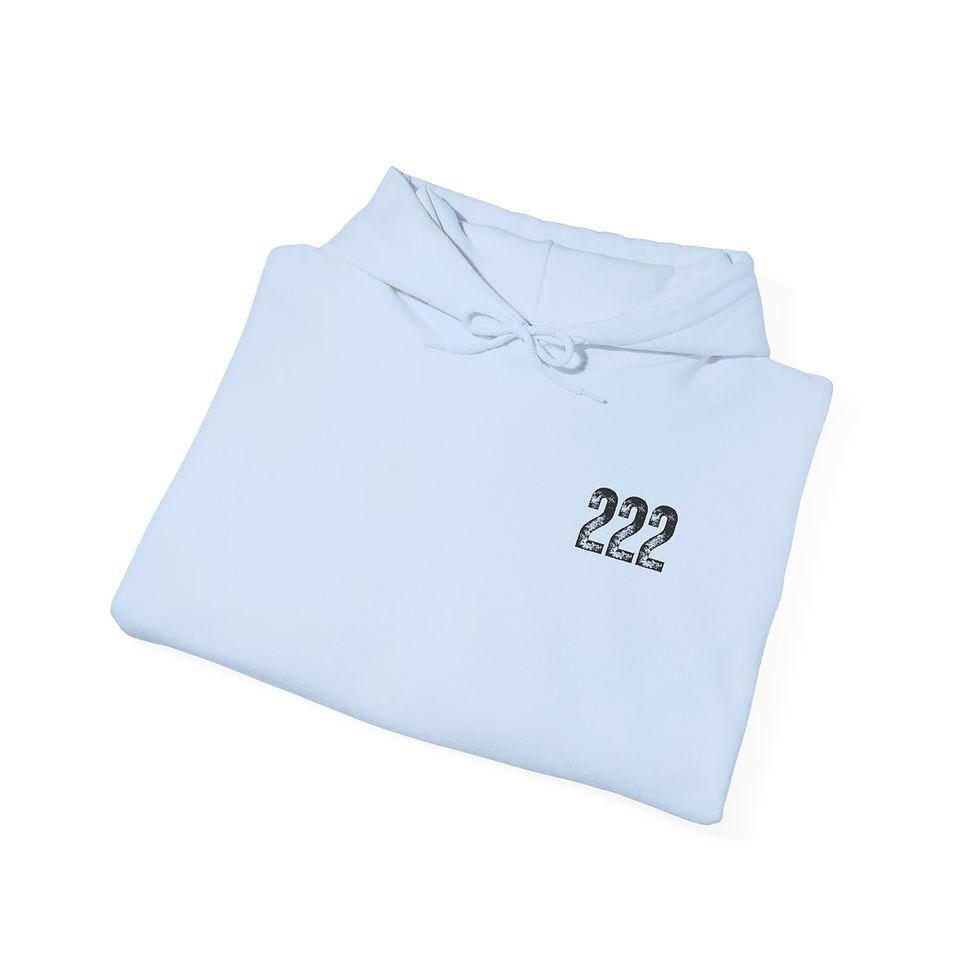 Thumbnail: Angel Number 222 Hoodie 