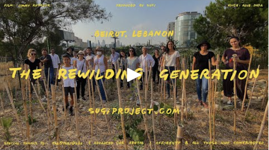 Beirut River Forest