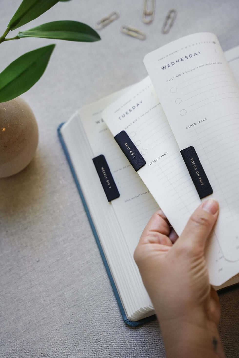 Thumbnail: Magnetic Focus Bookmarks
