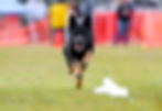received_2120576848084586.jpeg