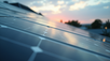 Embracing Sustainability in Business Operations