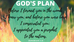 GOD'S PLAN, MY ASSIGNMENT