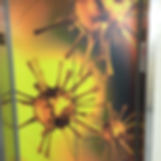 Elevator Door Graphics