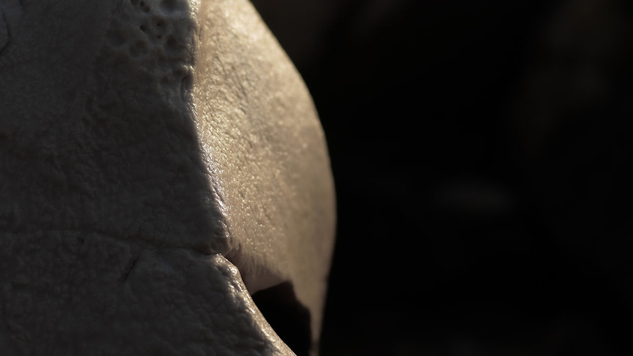 Still-rock.jpeg