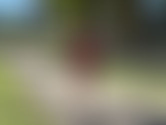 Running Gels for Beginners