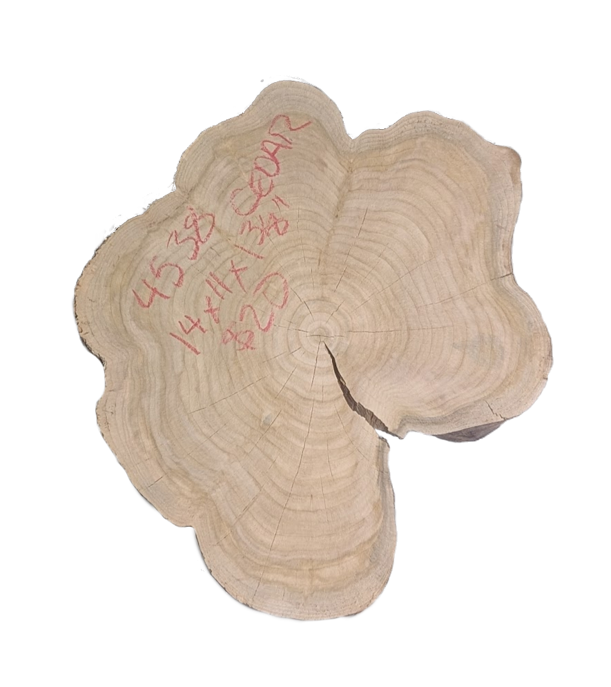 cedar round S2_edited_edited.png