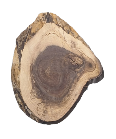 Funky Black Walnut - Front  - Small