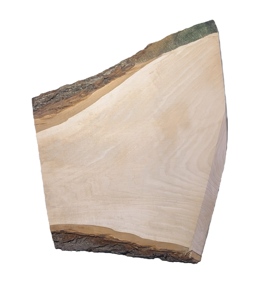 basswood funky L_edited_edited.png