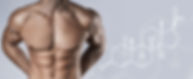 Testosterone Structure