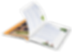 mockup-of-a-magazine-turning-pages-1110-el_clipped_rev_1_edited.png
