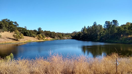 IMG_20201014_143848480_HDR.jpg