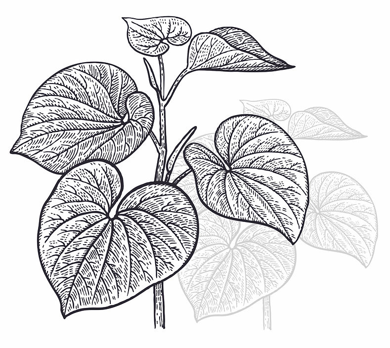 Shutterstock_627362018 2_edited_edited_edited.jpg