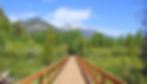 shutterstock_2488386065 (1)_edited.jpg