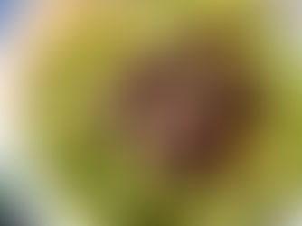 Avocado-Spinach Pesto Pasta with Sautéed Mushrooms