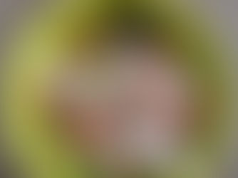 Slow Cooker BBQ Pulled Chicken