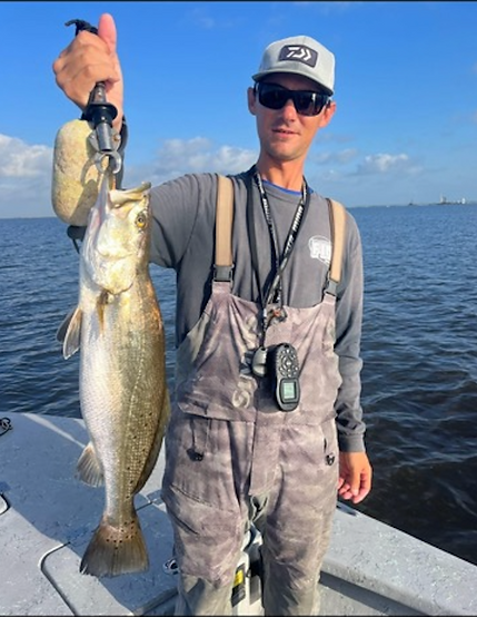 bass