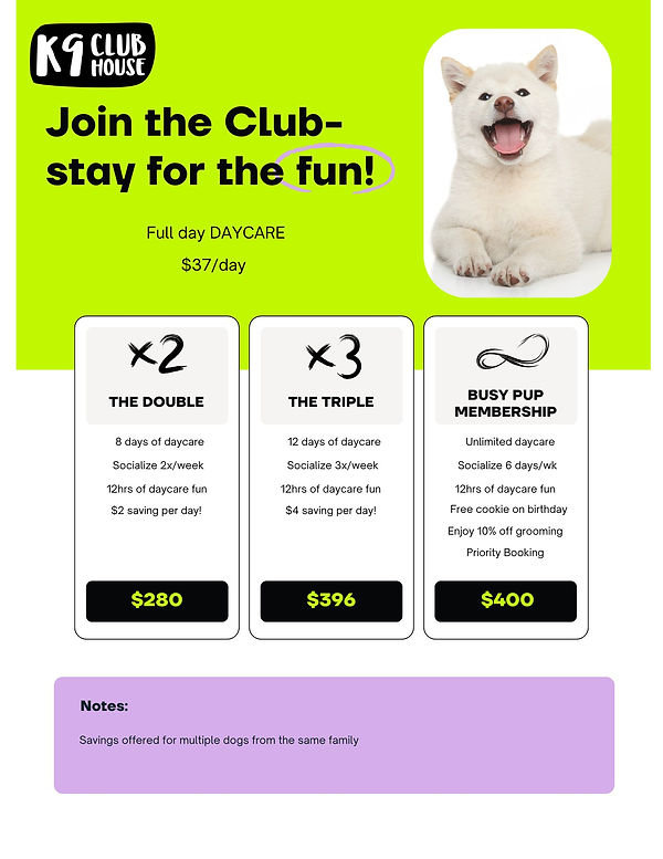 Dog Daycare Cost Spring Tx